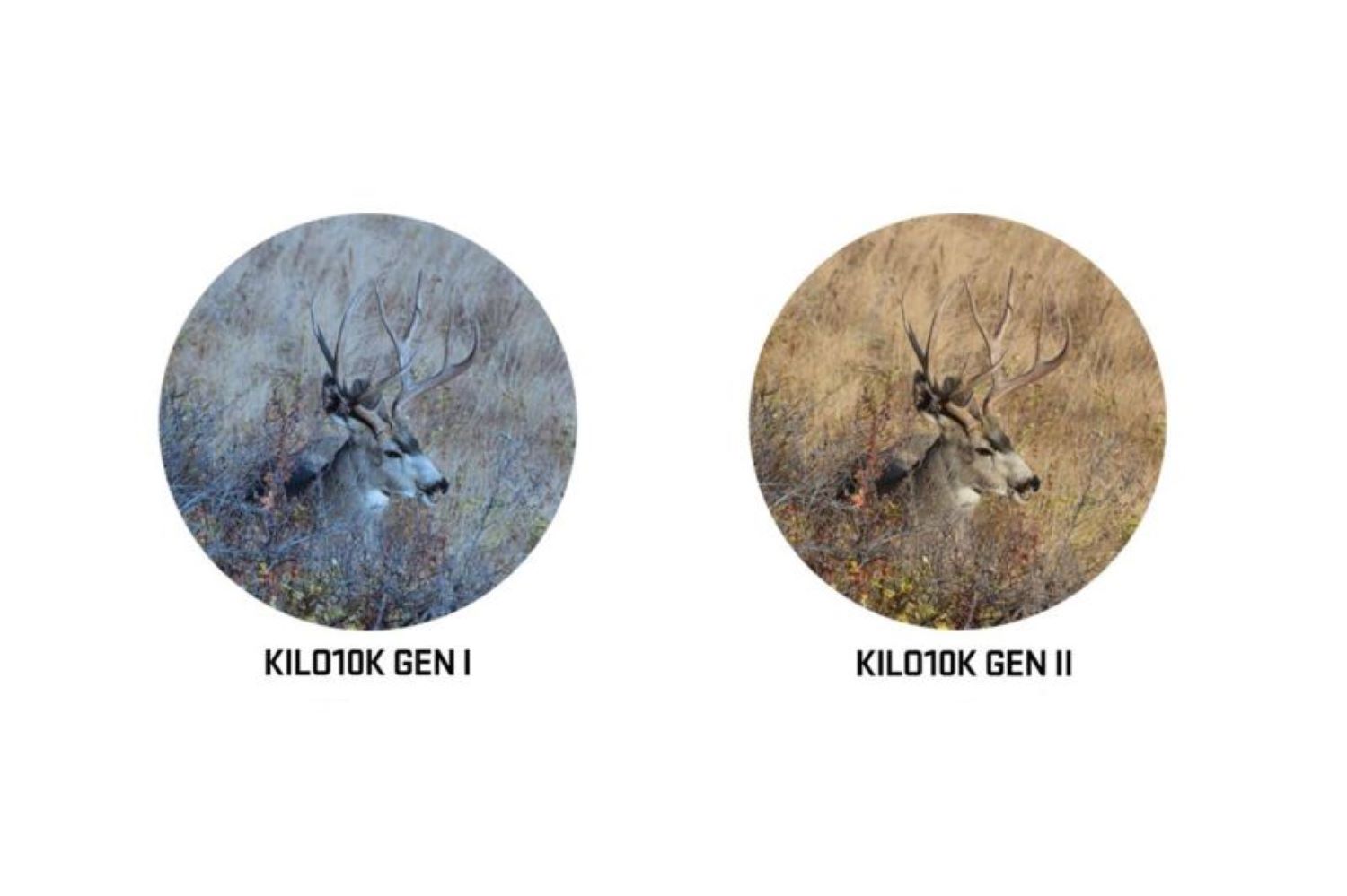 SIG SAUER KILO10K ABS HD Gen. 2 BDX Laser Entfernungsmesser | 10x42" FDE SIG SAUER KILO10K ABS HD Gen. 2 BDX Laser Entfernungsmesser | 10x42" FDE