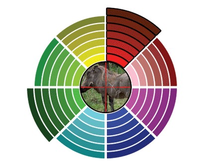UTG Zielfernrohr 4-16x40 True Hunter Scope #Neuwertig inkl. 11mm und 22mm Montage UTG Zielfernrohr 4-16x40 True Hunter Scope #Neuwertig inkl. 11mm und 22mm Montage