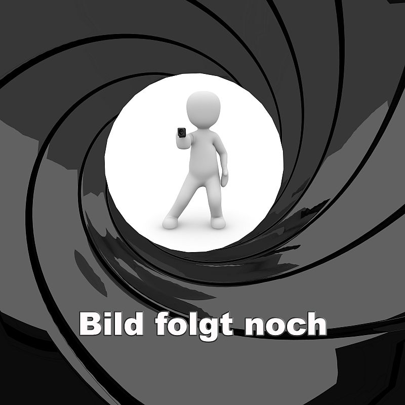 Picatinnyschiene I Weaverschiene für Weihrauch HW100 Pressluftgewehr