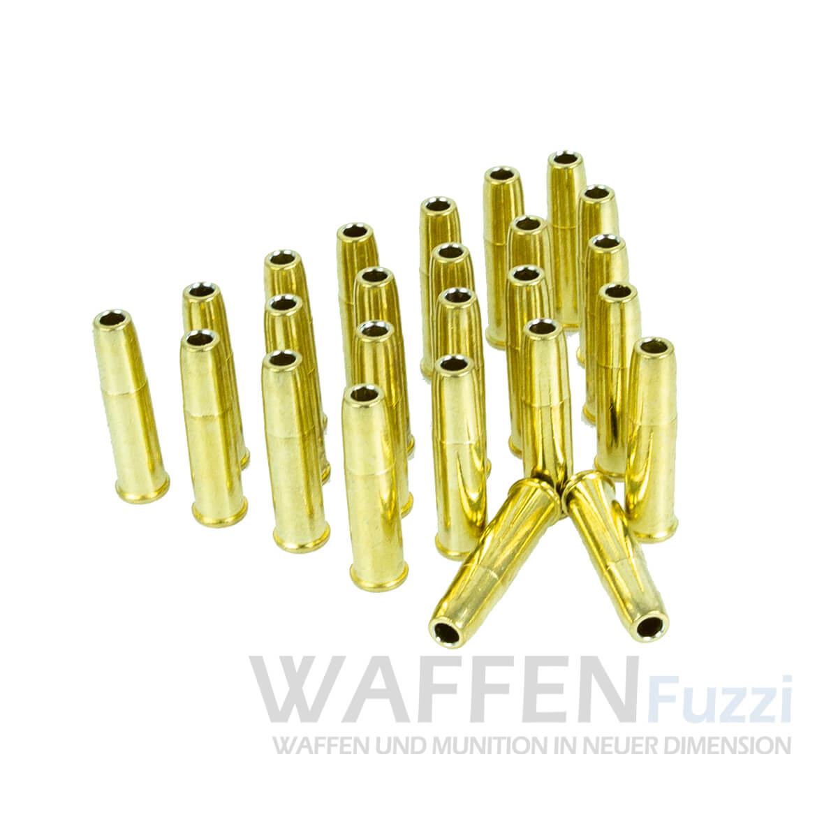 PP2_0679-copy Ladepatronen für Dan Wesson 25 St.