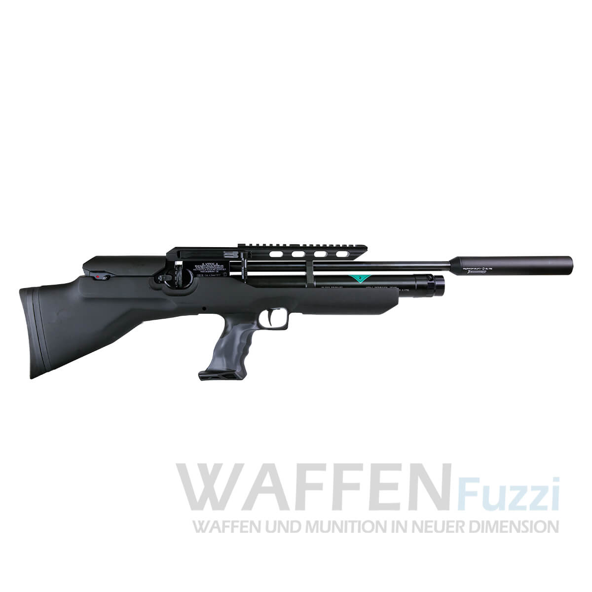 _51A8728-Kopie Weihrauch HW 100 BP Pressluftgewehr+Schalldämpfer Kaliber 4,5mm und 5,5mm