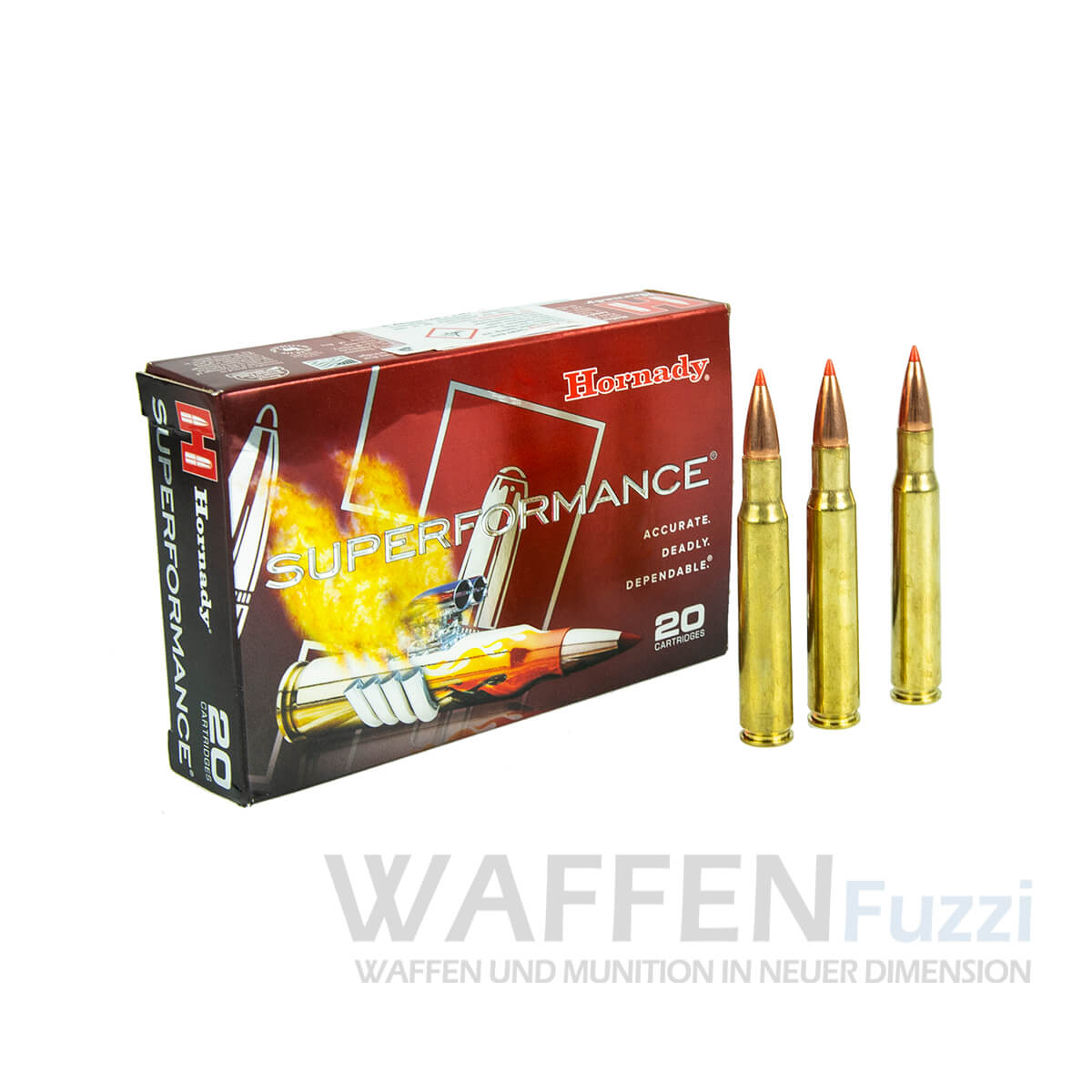 PP2_0665-Kopie Hornady 30-06 SPRG 180grs. 20 Schuss