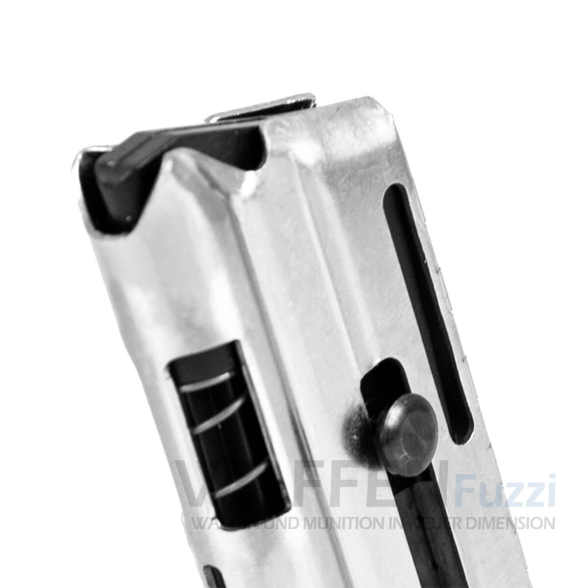PP2_0057-copy Magazin für Walther GSP Matchpistole .22lr
